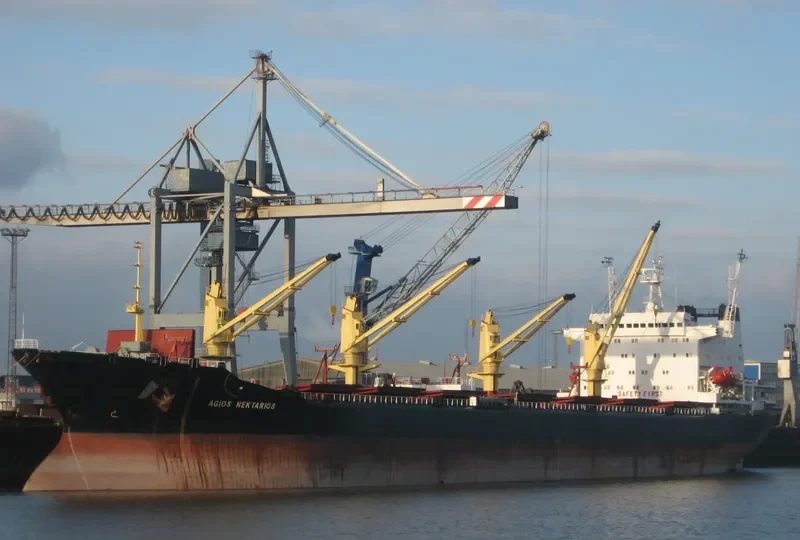 FLOURISH Bulk Carrier IMO 8723610