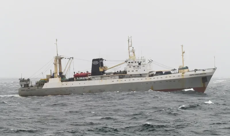 MORE SODRUZHESTVA General Cargo IMO 8724315 photo 5