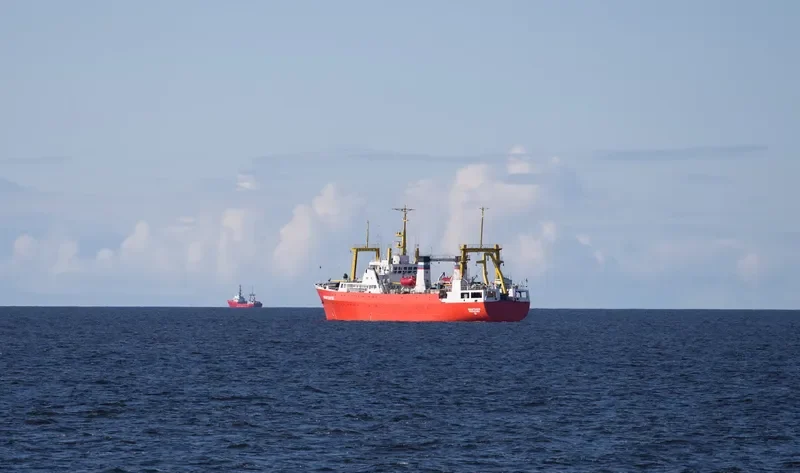 YUZHMORGEOLOGIYA General Cargo IMO 8724482 photo 7