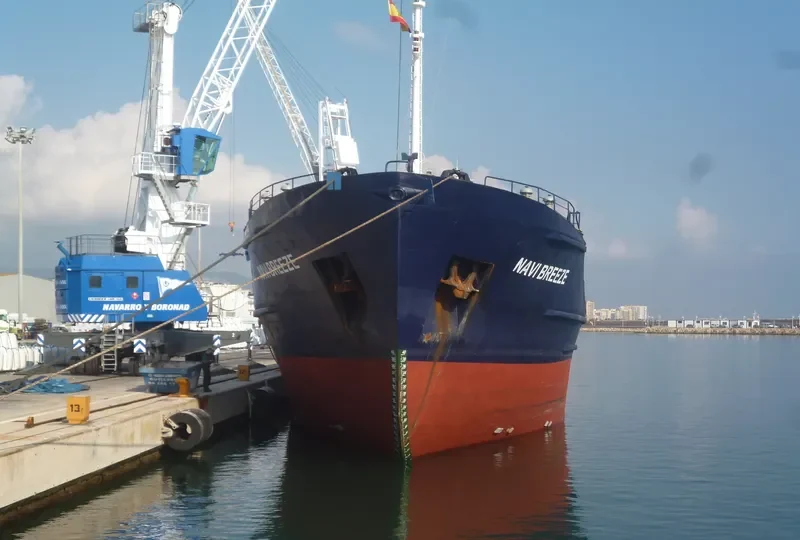 SORMOVSKIY 123 General Cargo IMO 8725632 photo 8