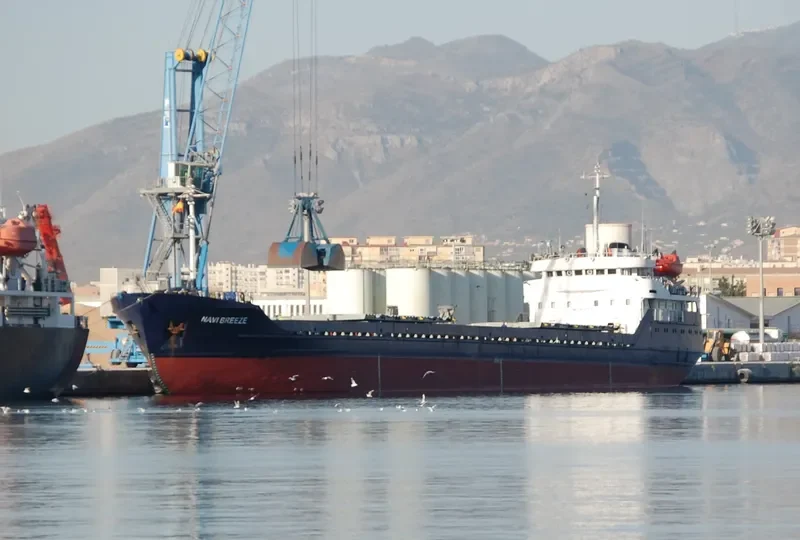 SORMOVSKIY 123 General Cargo IMO 8725632 photo 9
