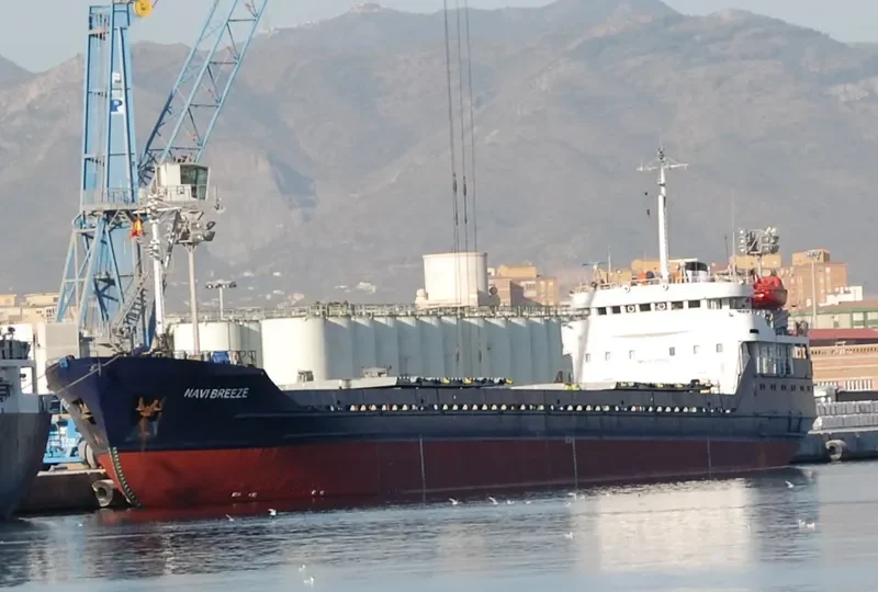 SORMOVSKIY 123 General Cargo IMO 8725632 photo 10