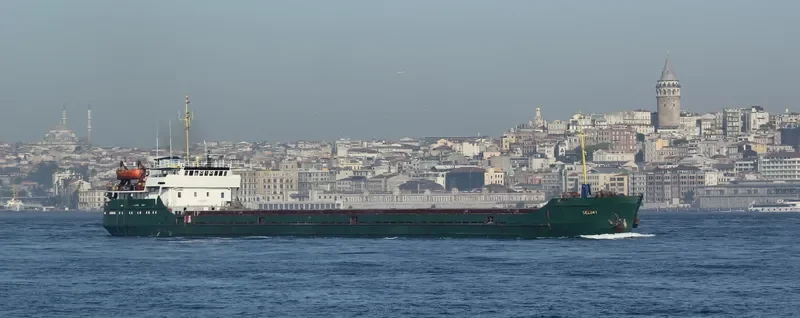 SELIM 1 General Cargo IMO 8727587 photo 5