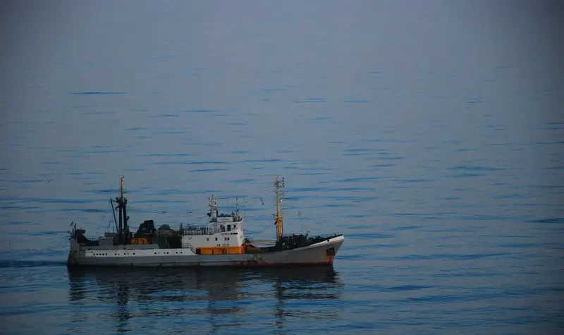 KALAMITA General Cargo IMO 8727666 photo 8