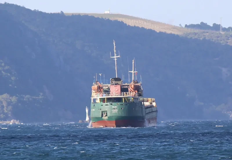 SELIM General Cargo IMO 8728036
