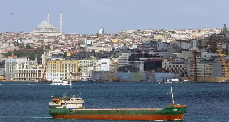 SELIM General Cargo IMO 8728036 photo 2