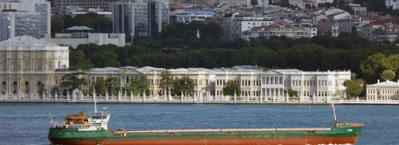 SELIM General Cargo IMO 8728036 photo 3