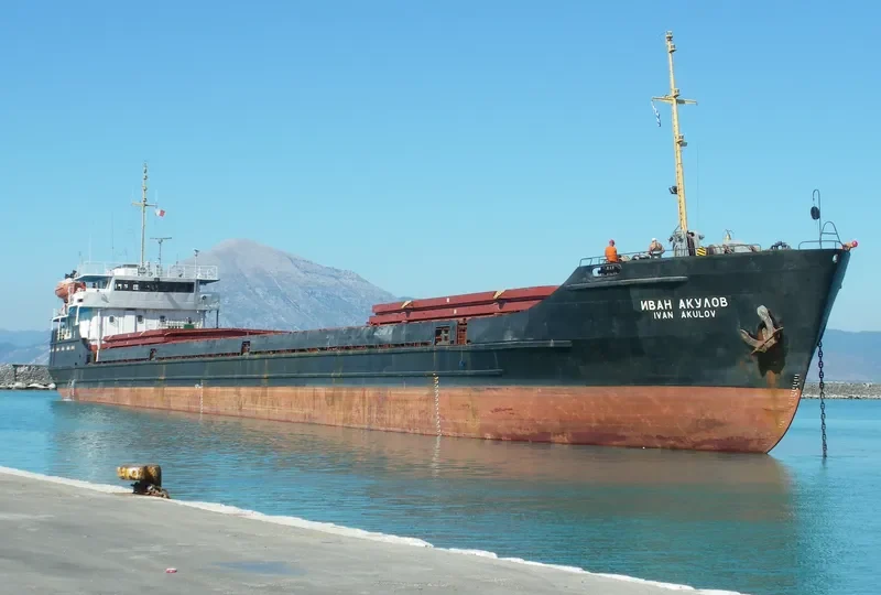 SELIM General Cargo IMO 8728036 photo 9
