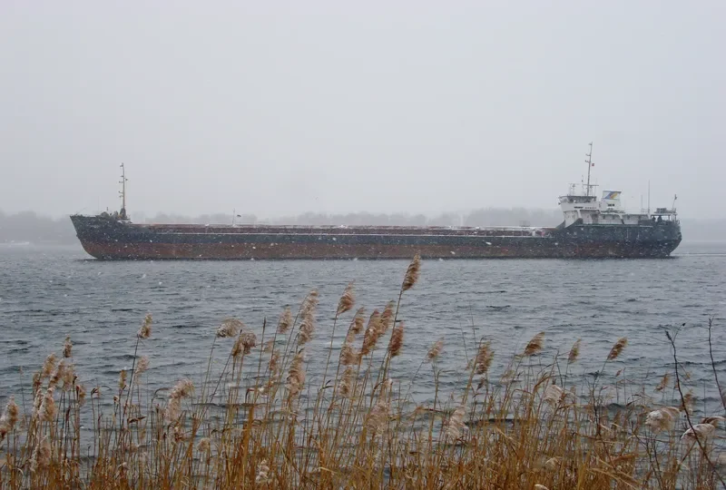 CAPRICORN General Cargo IMO 8728098