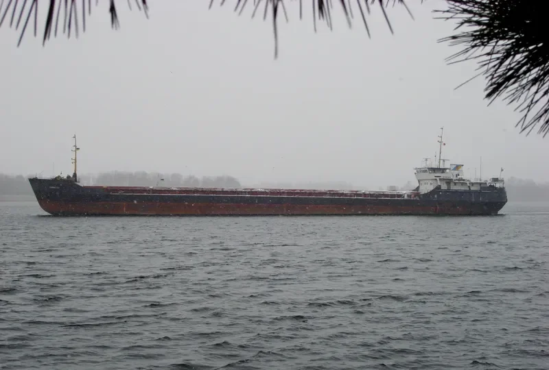 CAPRICORN General Cargo IMO 8728098 photo 2
