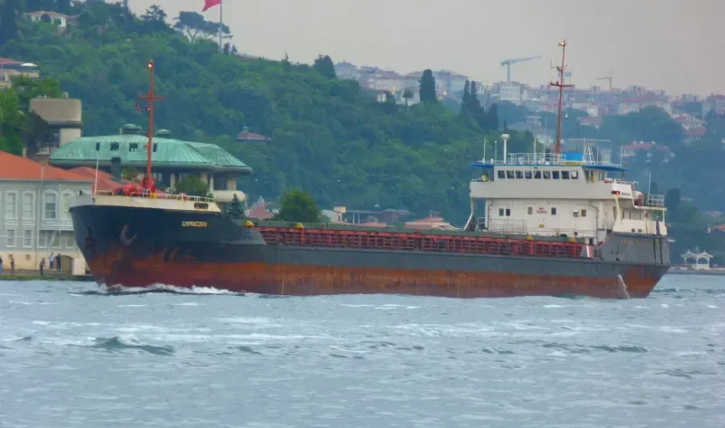 CAPRICORN General Cargo IMO 8728098 photo 10