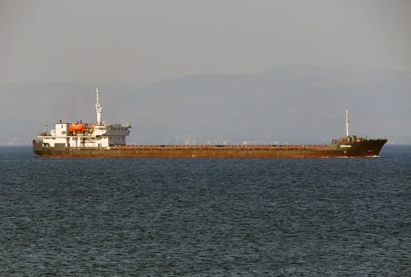 T MAGNA General Cargo IMO 8728828