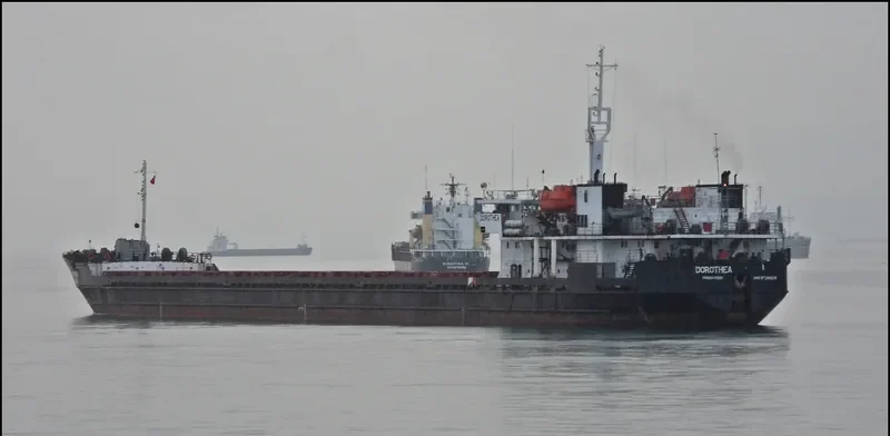 T MAGNA General Cargo IMO 8728828 photo 10