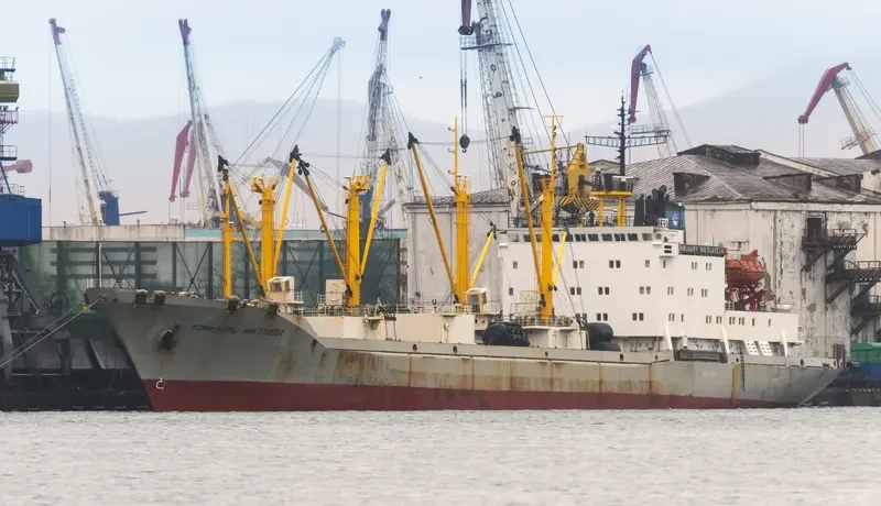 KOMMUNARY NIKOLAYEVA General Cargo IMO 8729183 photo 2