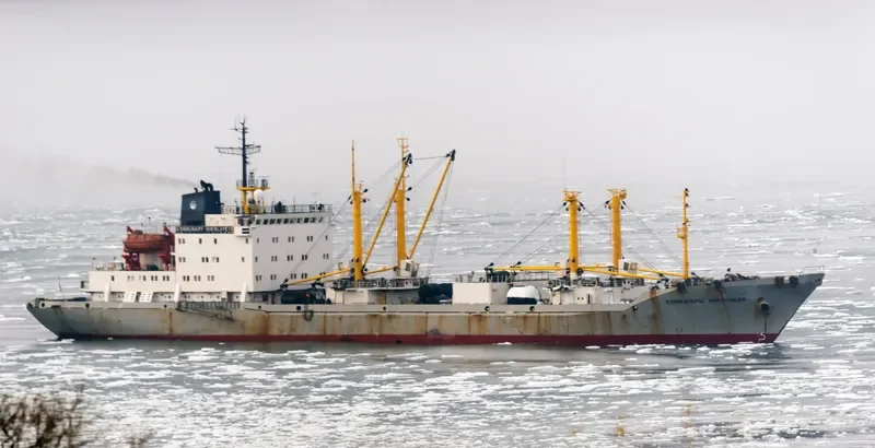 KOMMUNARY NIKOLAYEVA General Cargo IMO 8729183 photo 3