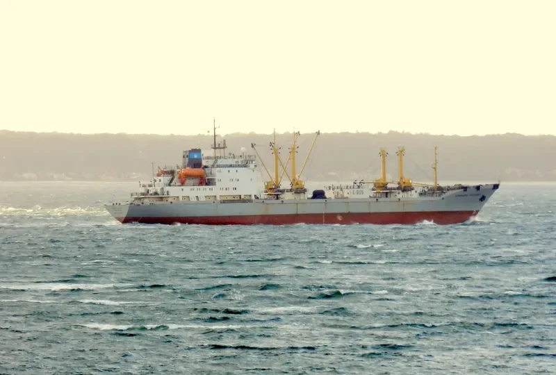 KOMMUNARY NIKOLAYEVA General Cargo IMO 8729183 photo 9