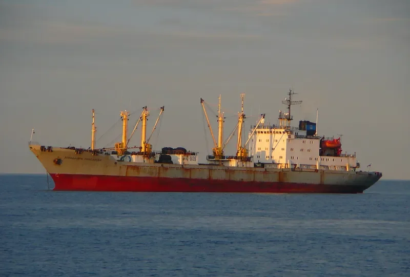 KOMMUNARY NIKOLAYEVA General Cargo IMO 8729183 photo 10
