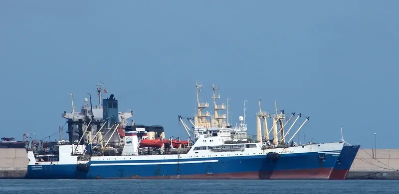 LAZURNYY General Cargo IMO 8729664 photo 5