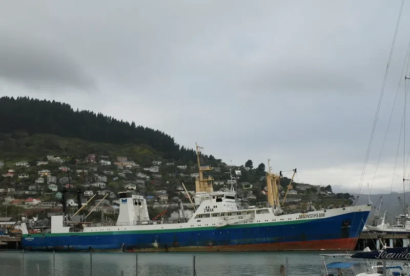 MAINSTREAM General Cargo IMO 8729676 photo 4