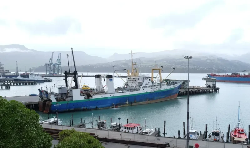 MAINSTREAM General Cargo IMO 8729676 photo 5