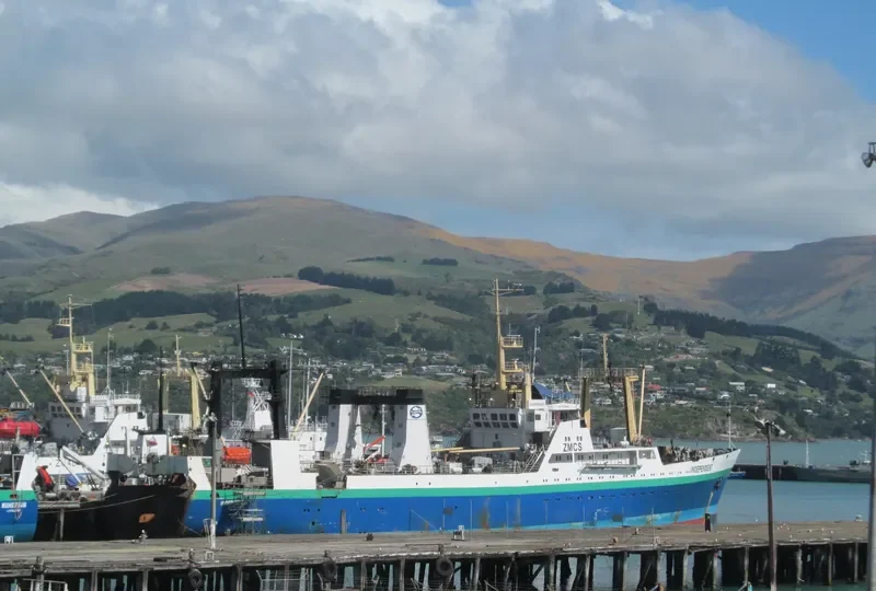 INDEPENDENT General Cargo IMO 8729688