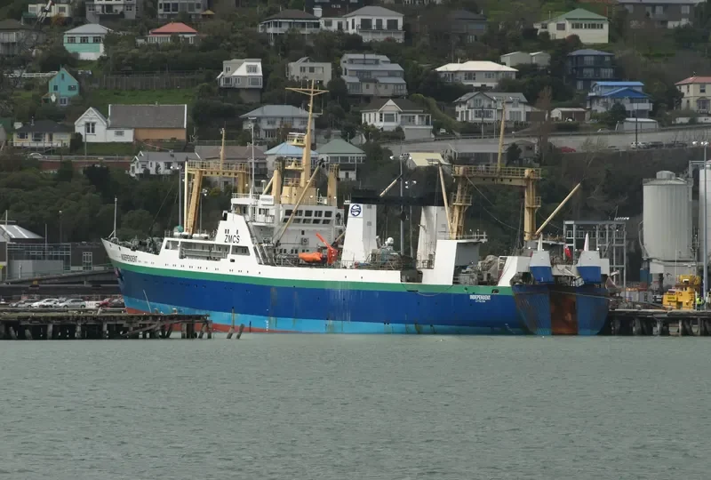INDEPENDENT General Cargo IMO 8729688 photo 4