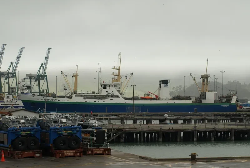 INDEPENDENT General Cargo IMO 8729688 photo 5