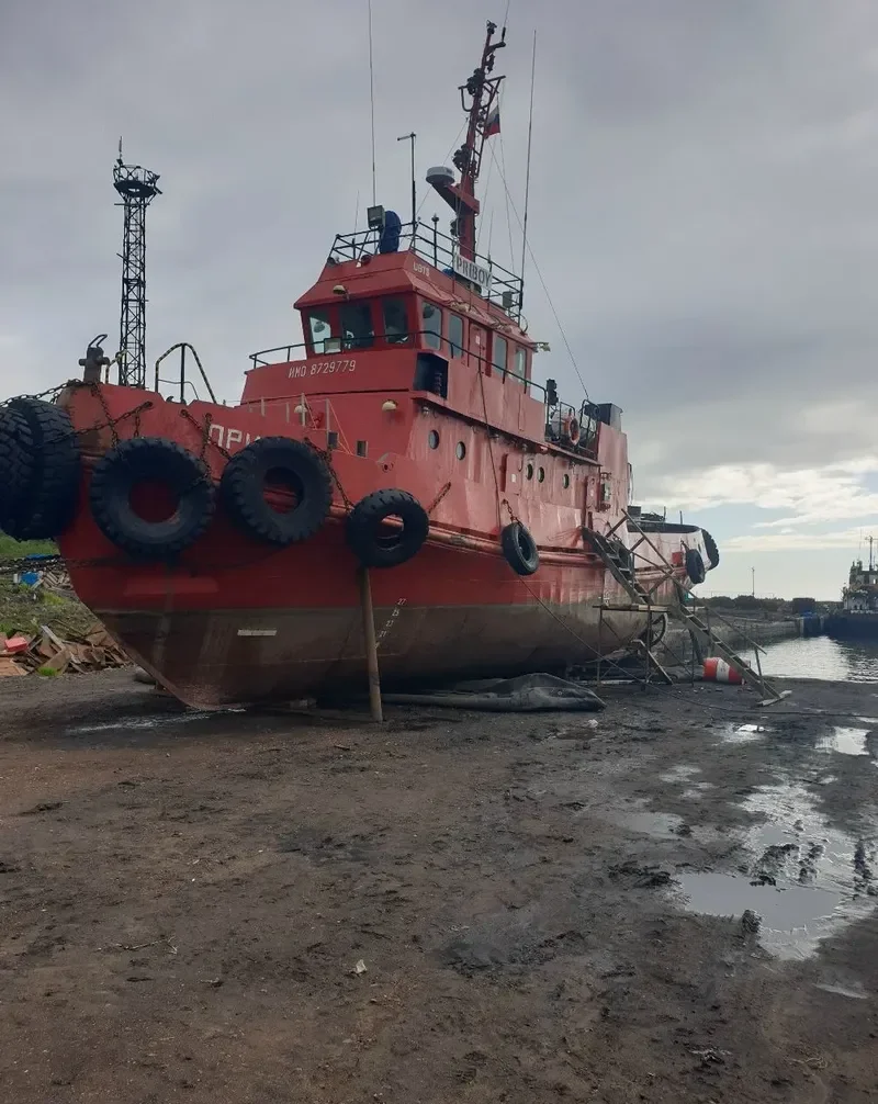 PRIBOY General Cargo IMO 8729779