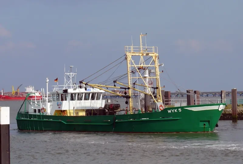 CAPELLA General Cargo IMO 8729901 photo 2