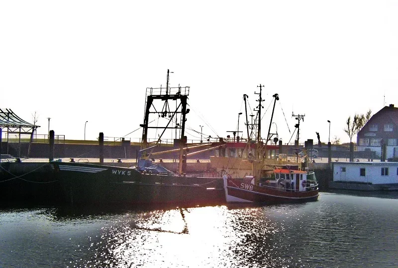 CAPELLA General Cargo IMO 8729901 photo 6