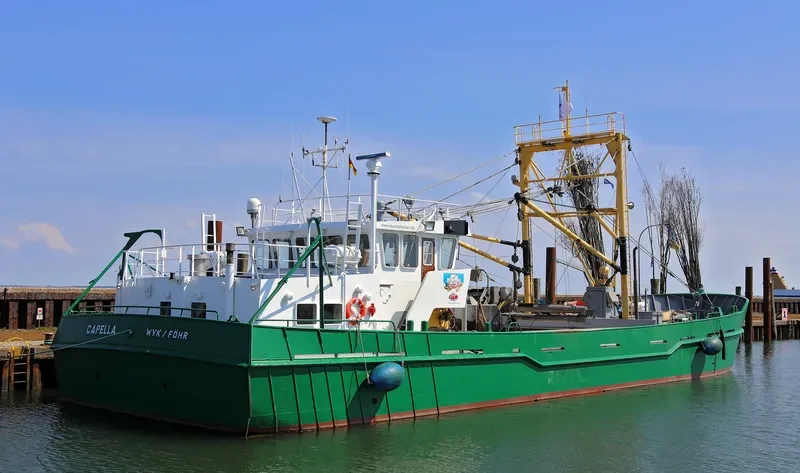 CAPELLA General Cargo IMO 8729901 photo 8