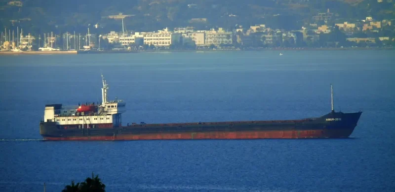 AMUR 2532 General Cargo IMO 8729975 photo 2