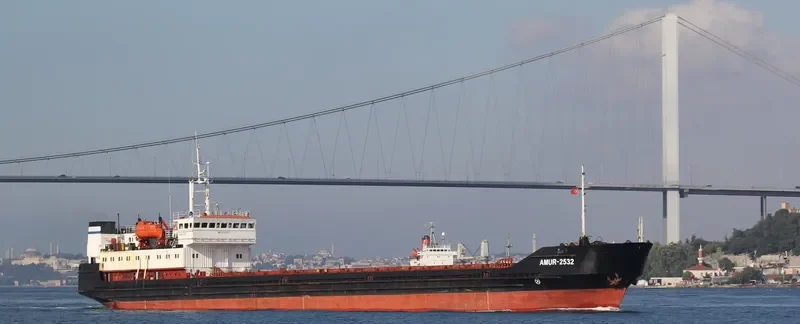 AMUR 2532 General Cargo IMO 8729975 photo 4