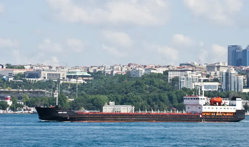 AMUR 2532 General Cargo IMO 8729975 photo 9