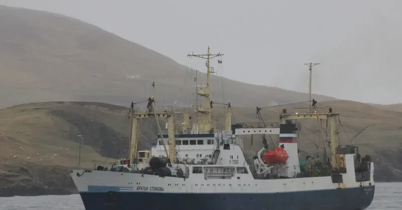 BRATYA STOYANOVY General Cargo IMO 8729987 photo 5