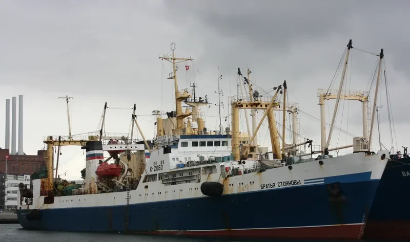 BRATYA STOYANOVY General Cargo IMO 8729987 photo 10