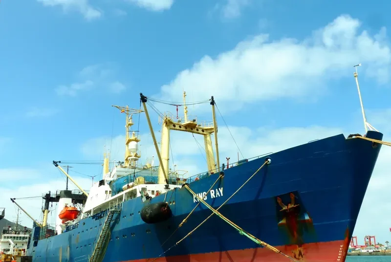 FREDRIKSHAMN General Cargo IMO 8730132 photo 2