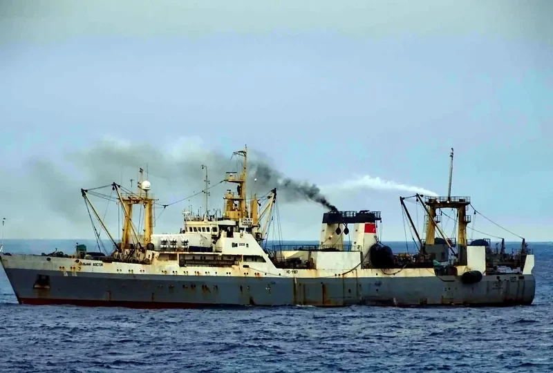 STENDE General Cargo IMO 8730429