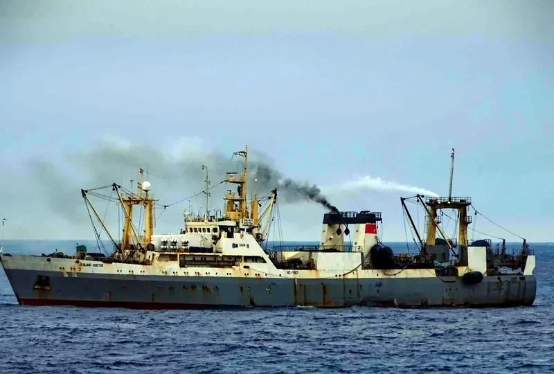 STENDE General Cargo IMO 8730429 photo 7