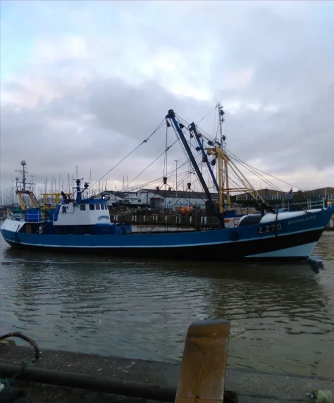 RAMBLERS General Cargo IMO 8740826