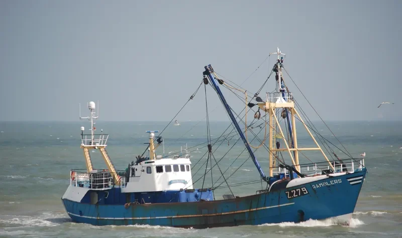 RAMBLERS General Cargo IMO 8740826 photo 7