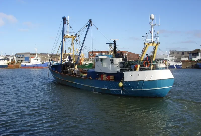 RAMBLERS General Cargo IMO 8740826 photo 10