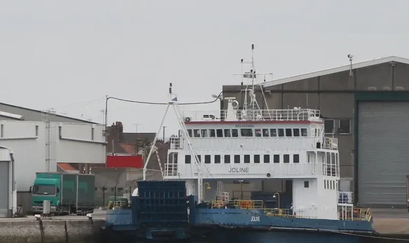 JOLINE Ro-Ro IMO 8743969 photo 3