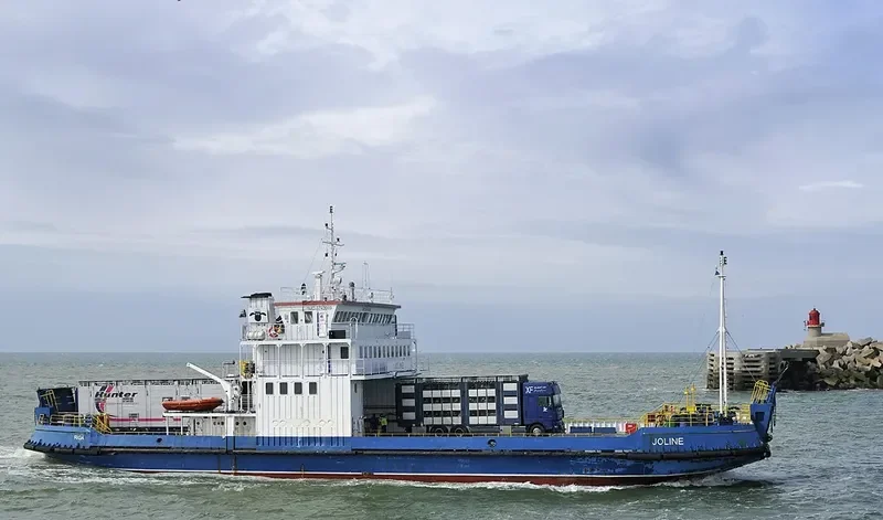 JOLINE Ro-Ro IMO 8743969 photo 10