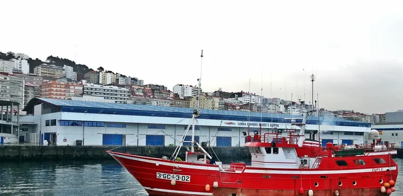 CUPLE General Cargo IMO 8744030