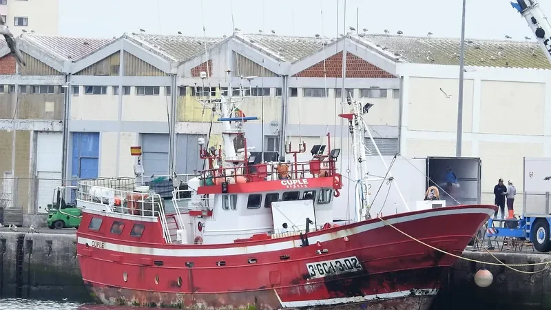 CUPLE General Cargo IMO 8744030 photo 6