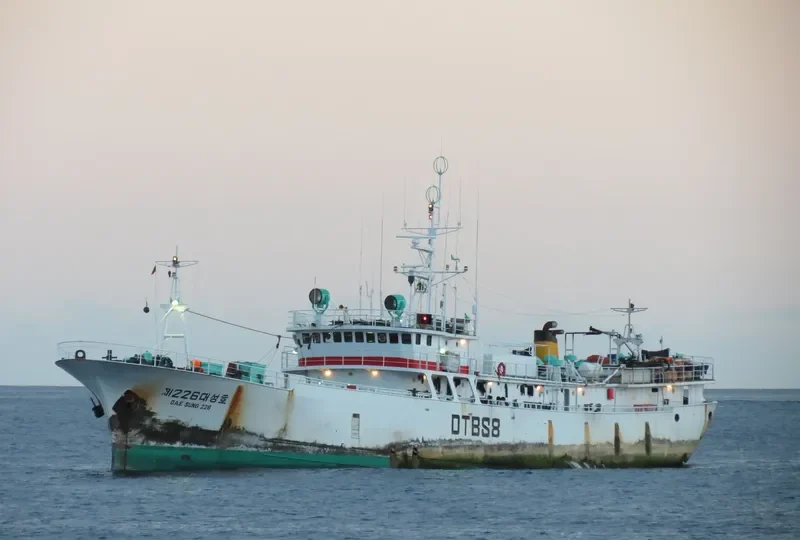 NO.226 DAE SUNG General Cargo IMO 8744042