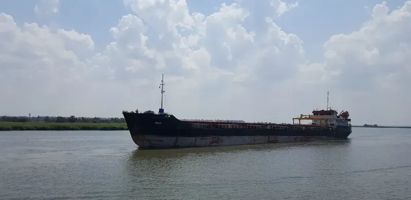 VEGA General Cargo IMO 8744224 photo 3