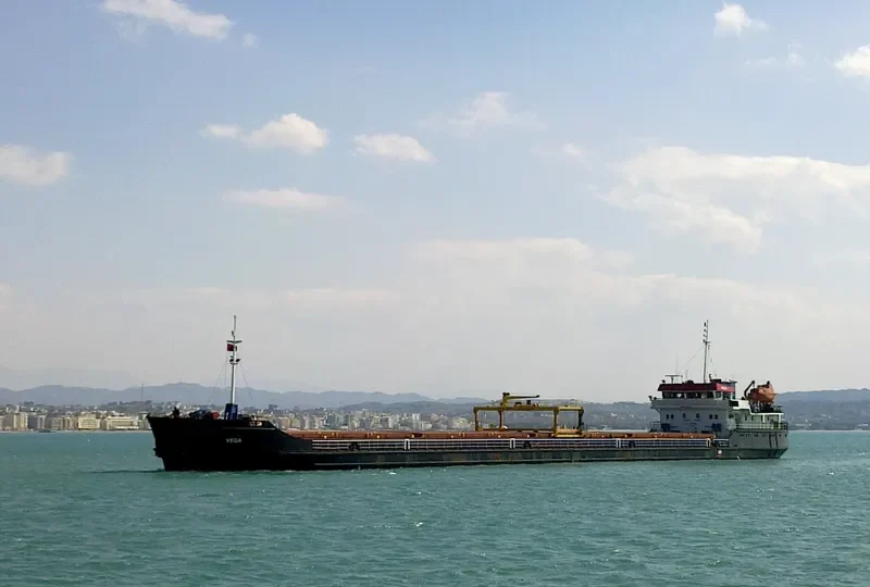 VEGA General Cargo IMO 8744224 photo 4