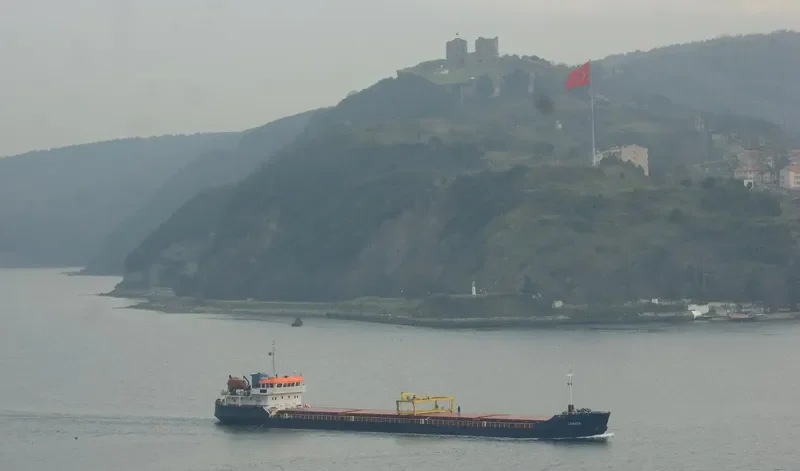 VEGA General Cargo IMO 8744224 photo 6